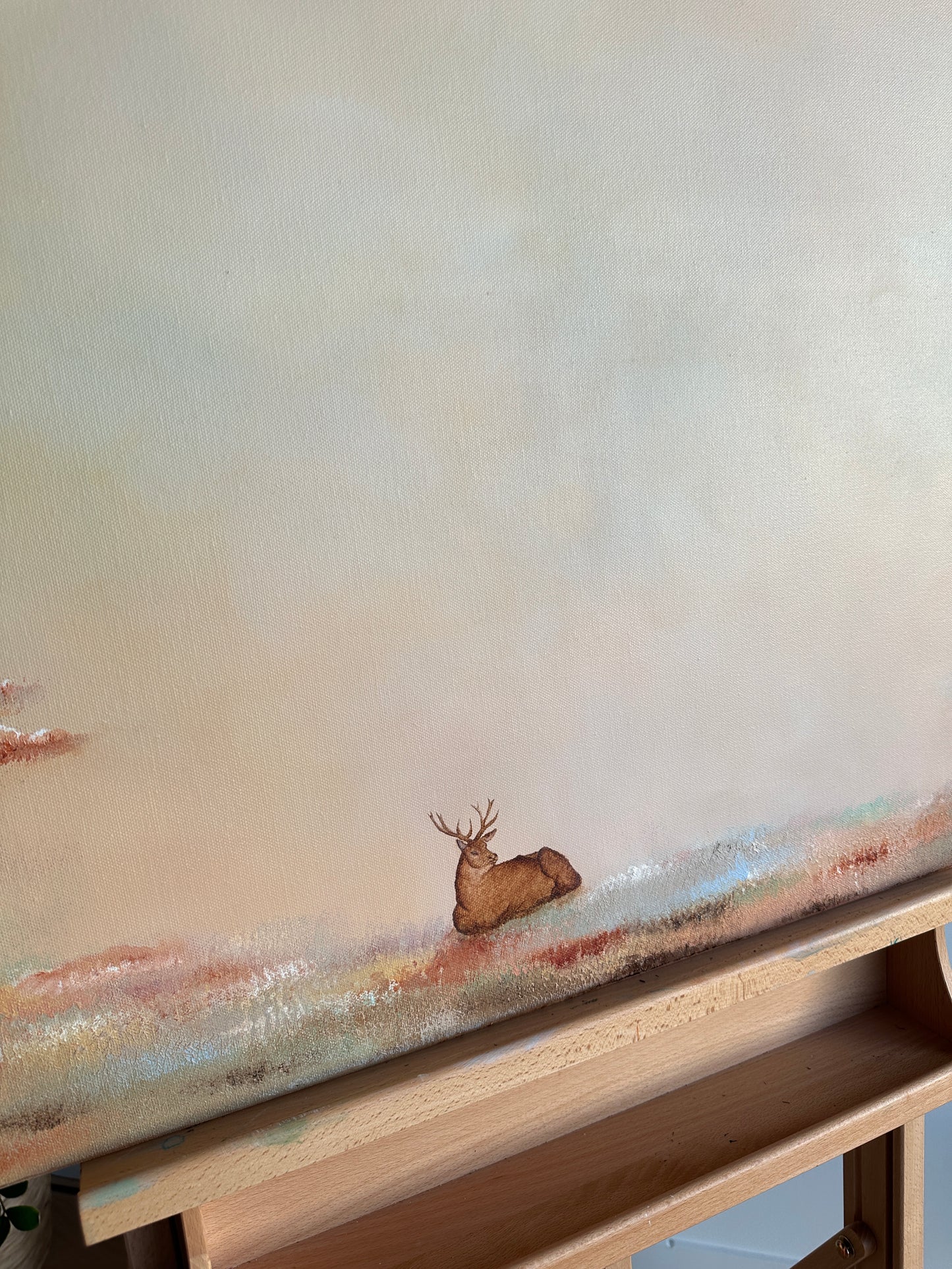 Gentle Dawn - Fine Art Print